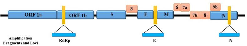 https://cdn.ncbi.nlm.nih.gov/pmc/blobs/f2f1/7568515/7244c2e948ee/gr1_lrg.jpg