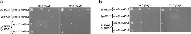 https://cdn.ncbi.nlm.nih.gov/pmc/blobs/f2f3/11457938/383888d8553a/iyae128f9.jpg