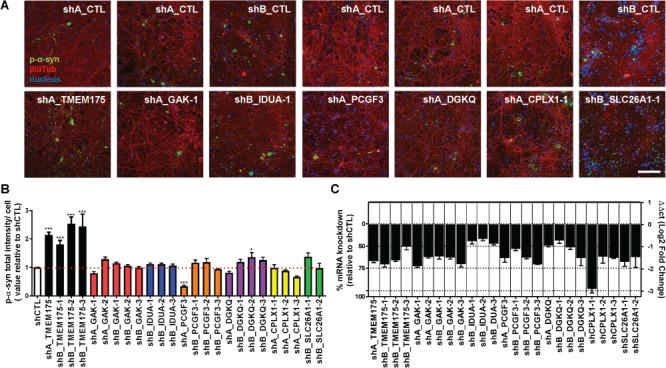 https://cdn.ncbi.nlm.nih.gov/pmc/blobs/f2f4/6859430/9af384748622/ddz136f2.jpg