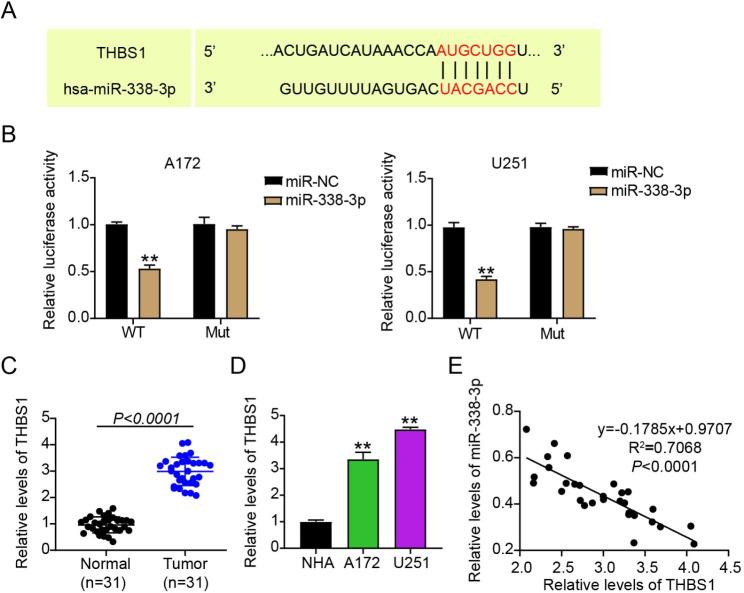 https://cdn.ncbi.nlm.nih.gov/pmc/blobs/f2f6/10807173/25f098fe9e65/13062_2023_443_Fig3_HTML.jpg