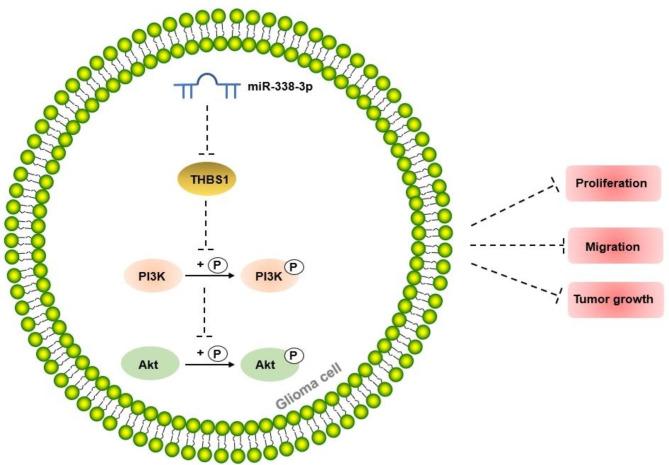 https://cdn.ncbi.nlm.nih.gov/pmc/blobs/f2f6/10807173/578261e001ae/13062_2023_443_Fig5_HTML.jpg