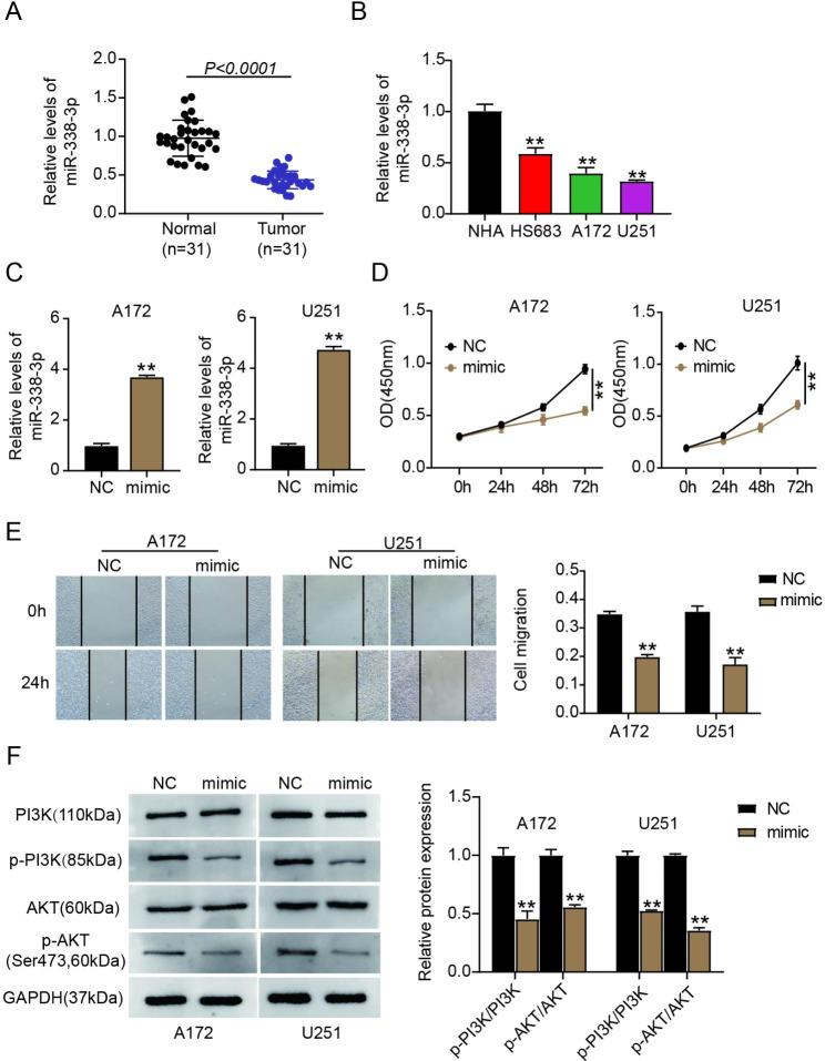 https://cdn.ncbi.nlm.nih.gov/pmc/blobs/f2f6/10807173/bf5b562b2d95/13062_2023_443_Fig1_HTML.jpg