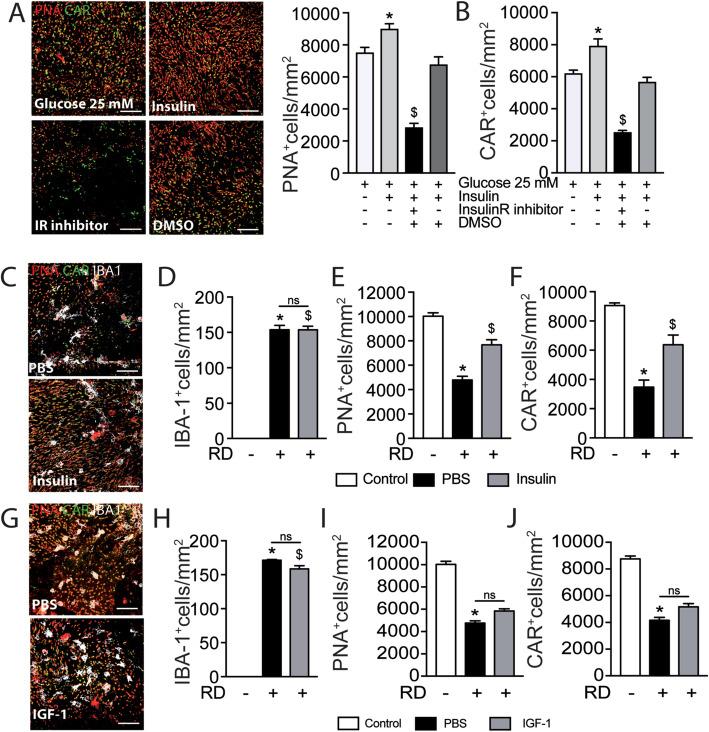 https://cdn.ncbi.nlm.nih.gov/pmc/blobs/f2f6/7694924/fb3cb98470bf/12974_2020_2039_Fig5_HTML.jpg