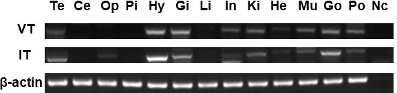 https://cdn.ncbi.nlm.nih.gov/pmc/blobs/f2f6/9372264/0f4b3d419e24/fendo-13-923234-g003.jpg