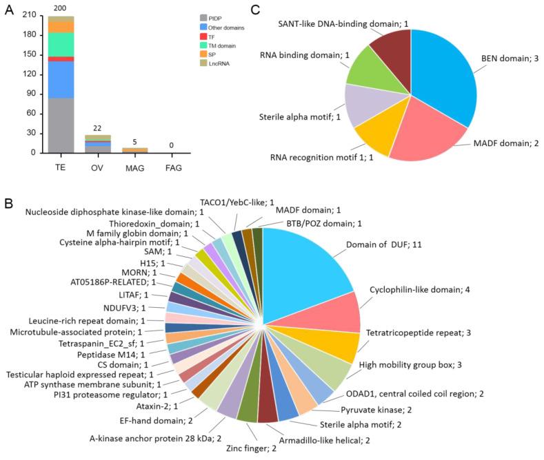 https://cdn.ncbi.nlm.nih.gov/pmc/blobs/f2f7/11203884/b6ab00bb7e43/insects-15-00424-g003.jpg