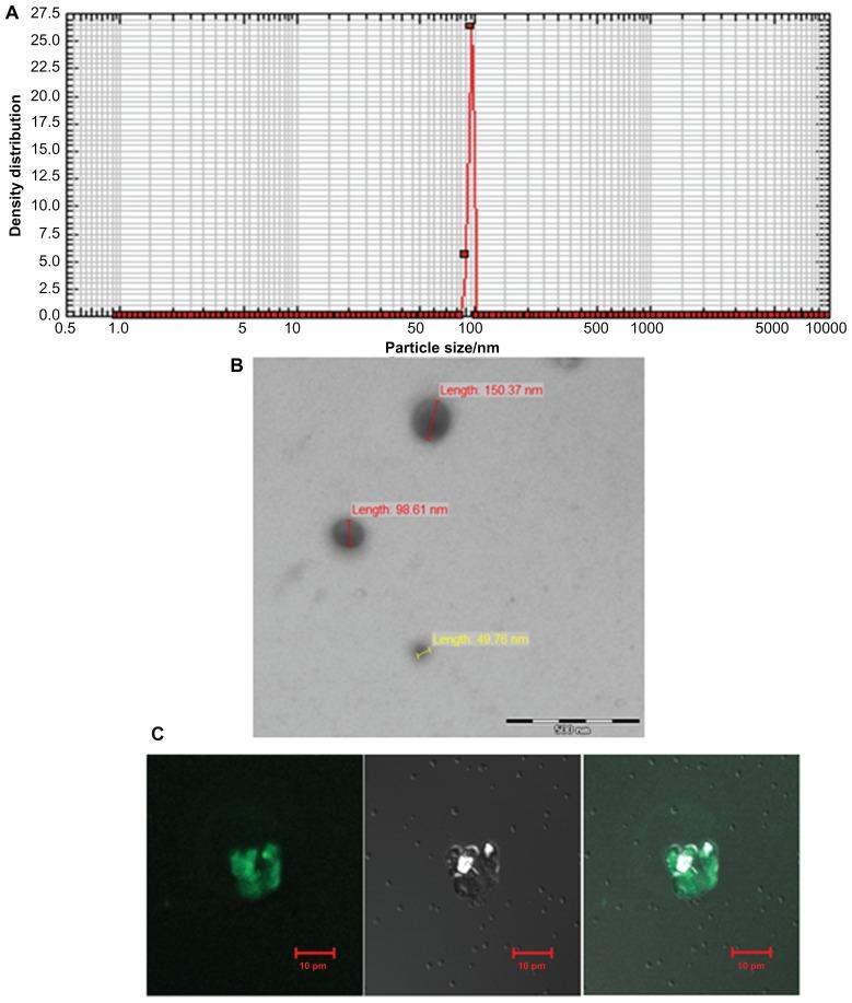 https://cdn.ncbi.nlm.nih.gov/pmc/blobs/f2f9/3383290/7597a900ad6b/ijn-7-2433f2.jpg