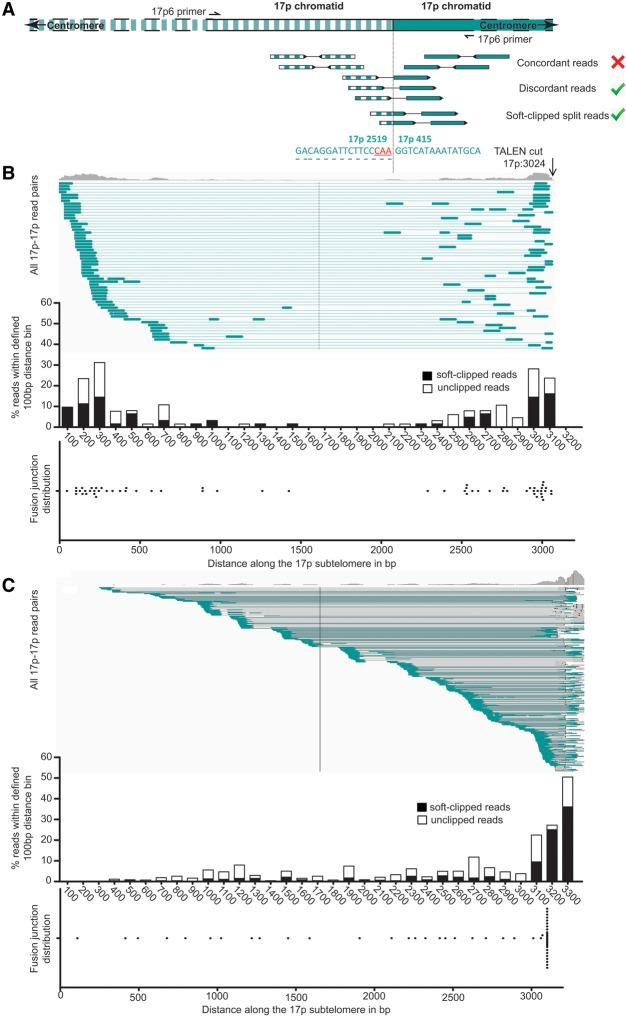 https://cdn.ncbi.nlm.nih.gov/pmc/blobs/f2f9/4864465/61c8c2a4180b/588f04.jpg