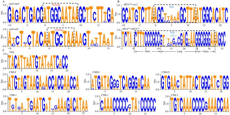 https://cdn.ncbi.nlm.nih.gov/pmc/blobs/f2fa/7809818/2361826917a4/12864_2020_7360_Fig3_HTML.jpg