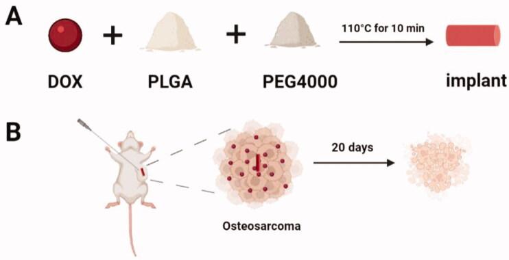 https://cdn.ncbi.nlm.nih.gov/pmc/blobs/f2fb/8843208/14cf444c29d7/IDRD_A_2032878_F0001_C.jpg