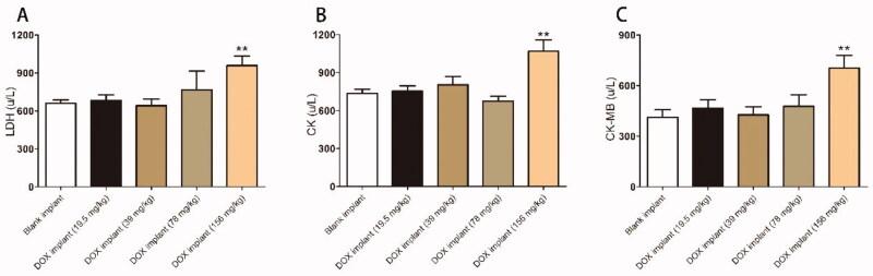 https://cdn.ncbi.nlm.nih.gov/pmc/blobs/f2fb/8843208/1b6a8185bcb4/IDRD_A_2032878_F0006_C.jpg