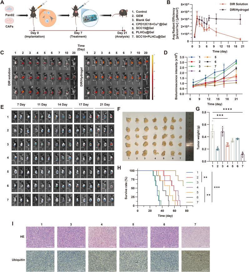 https://cdn.ncbi.nlm.nih.gov/pmc/blobs/f300/12150104/37199c209410/gr5.jpg