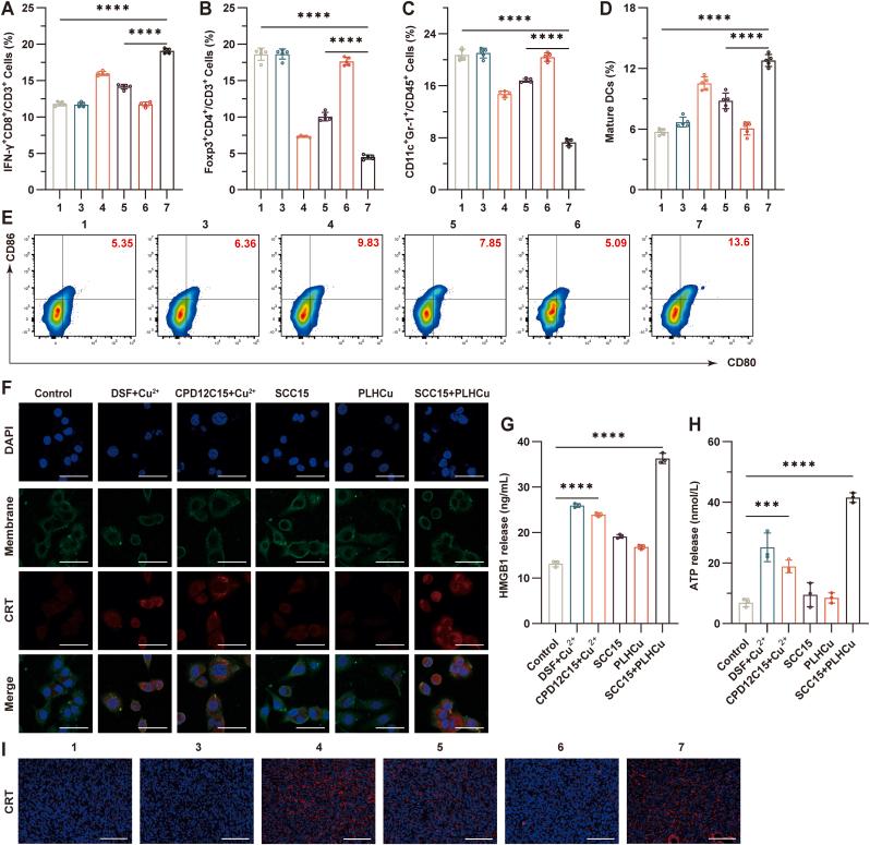 https://cdn.ncbi.nlm.nih.gov/pmc/blobs/f300/12150104/5ac39ba51815/gr7.jpg