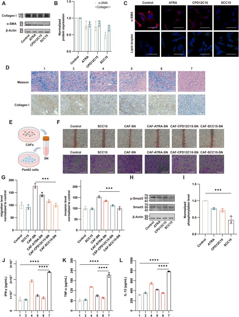 https://cdn.ncbi.nlm.nih.gov/pmc/blobs/f300/12150104/69ba4b48e572/gr6.jpg