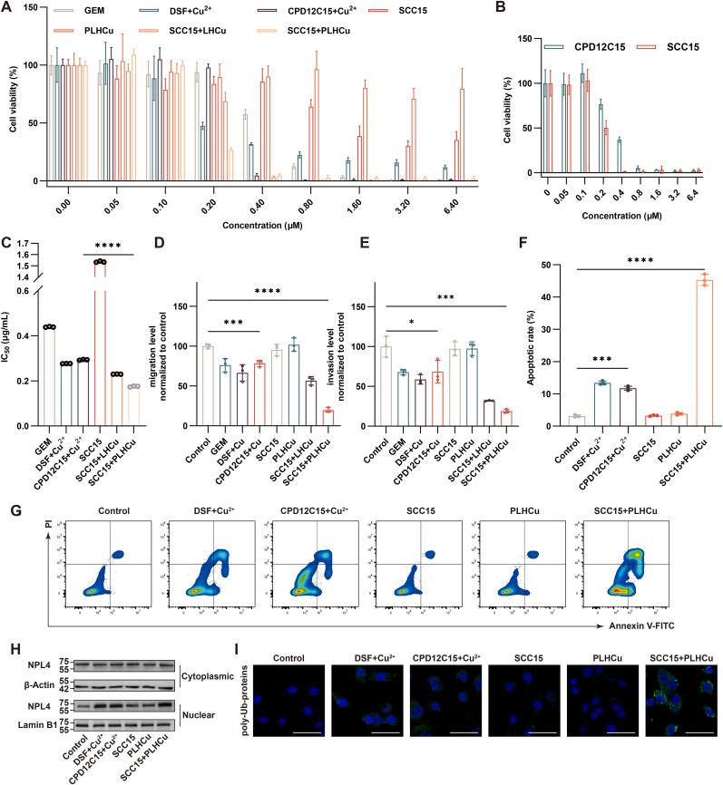https://cdn.ncbi.nlm.nih.gov/pmc/blobs/f300/12150104/756aae9a82de/gr4.jpg