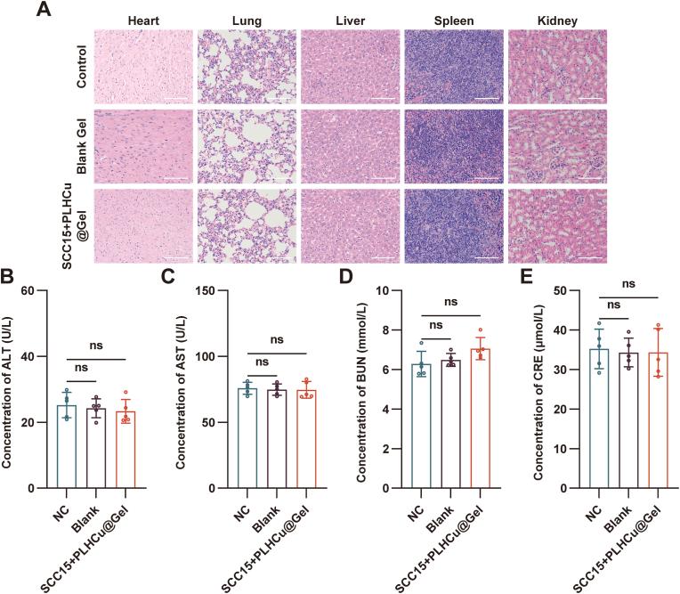 https://cdn.ncbi.nlm.nih.gov/pmc/blobs/f300/12150104/f2055763a058/gr8.jpg