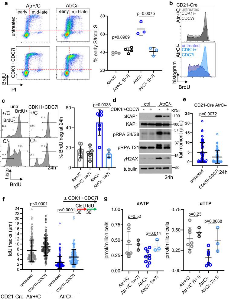 https://cdn.ncbi.nlm.nih.gov/pmc/blobs/f301/10279696/52d85a2fefdb/41467_2023_39332_Fig7_HTML.jpg