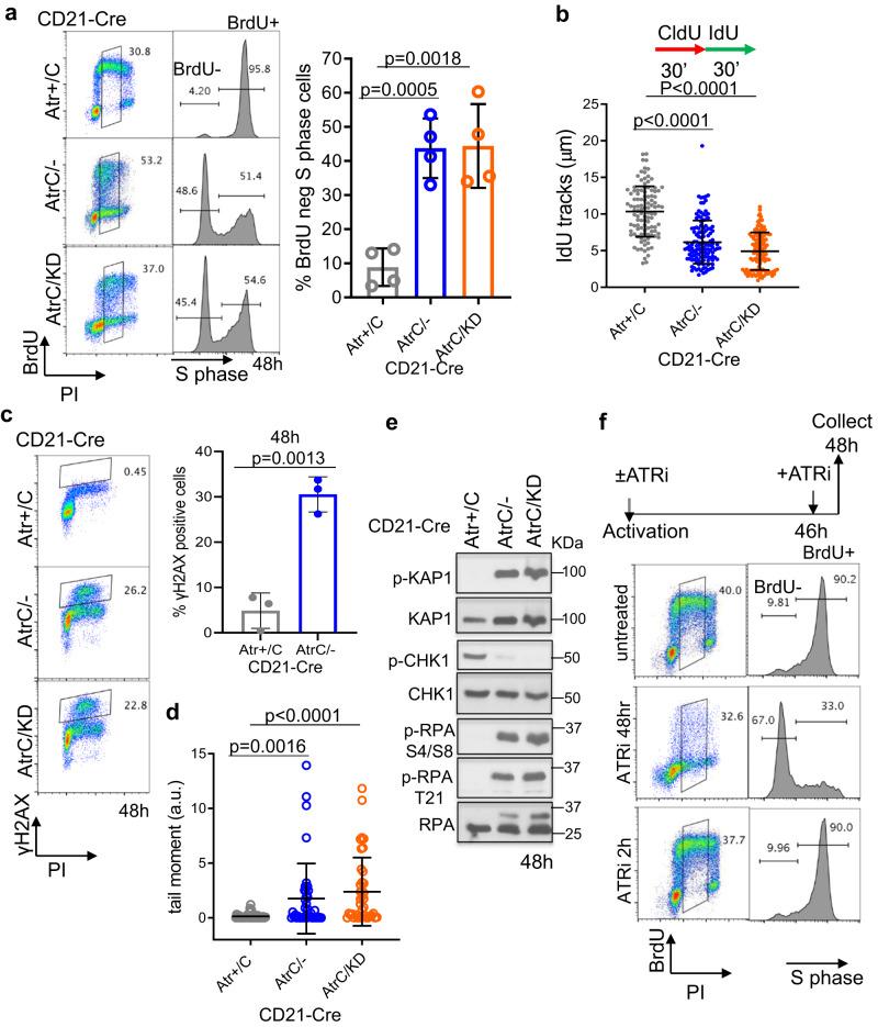 https://cdn.ncbi.nlm.nih.gov/pmc/blobs/f301/10279696/7787a72232f5/41467_2023_39332_Fig2_HTML.jpg
