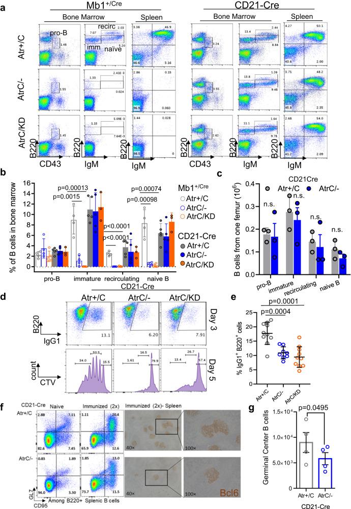 https://cdn.ncbi.nlm.nih.gov/pmc/blobs/f301/10279696/a0b558e33976/41467_2023_39332_Fig1_HTML.jpg