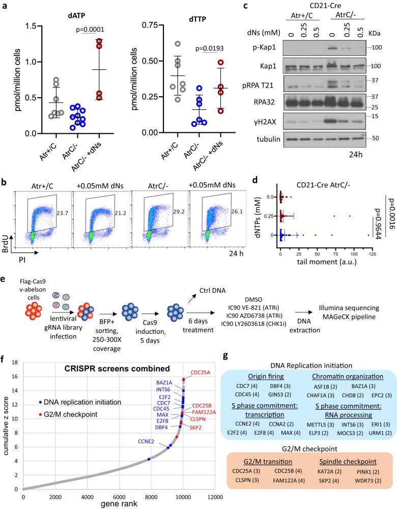 https://cdn.ncbi.nlm.nih.gov/pmc/blobs/f301/10279696/be48a285d0b8/41467_2023_39332_Fig6_HTML.jpg