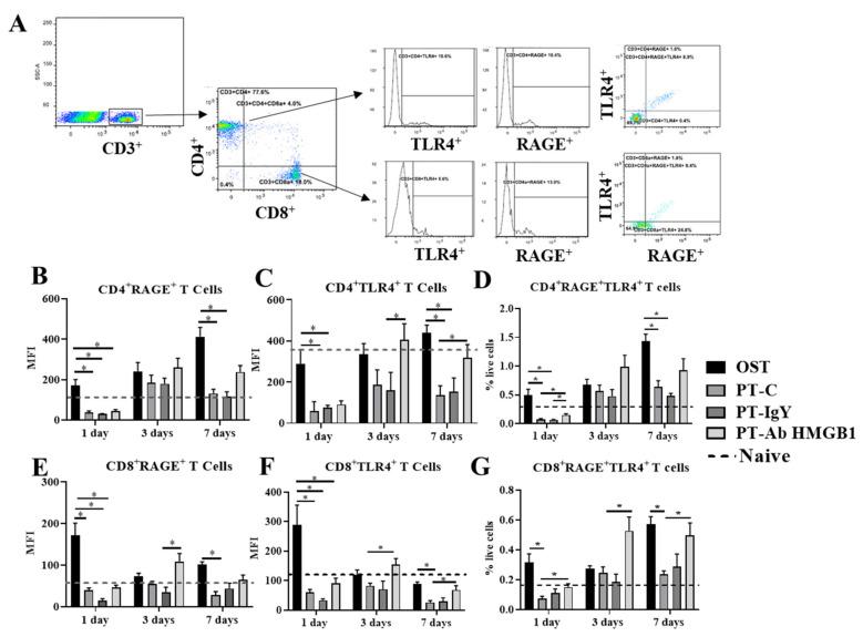 https://cdn.ncbi.nlm.nih.gov/pmc/blobs/f301/8305113/668aad1d9759/cells-10-01646-g005.jpg
