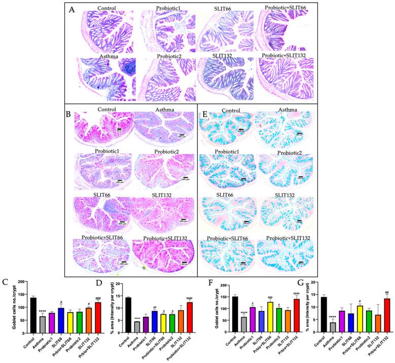 https://cdn.ncbi.nlm.nih.gov/pmc/blobs/f304/11678203/f065f5b9cf86/pharmaceuticals-17-01580-g004.jpg