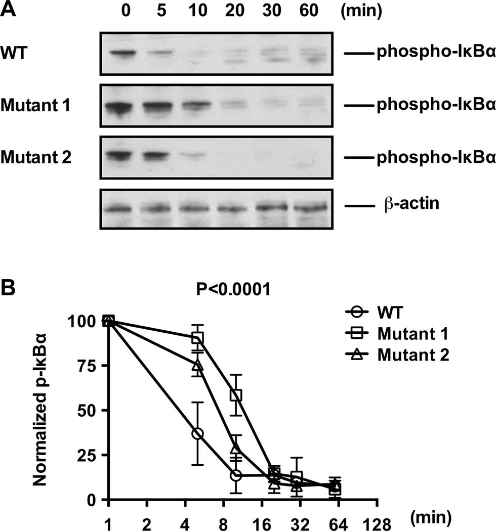 https://cdn.ncbi.nlm.nih.gov/pmc/blobs/f305/4840072/fa876bef95ea/nihms747356f4.jpg