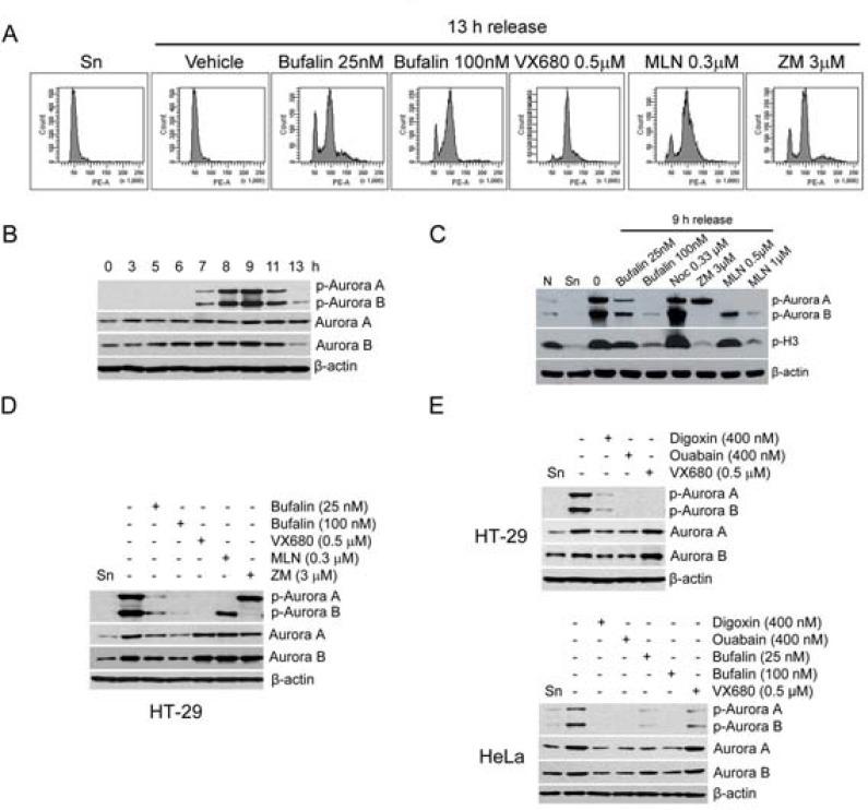https://cdn.ncbi.nlm.nih.gov/pmc/blobs/f305/5862615/bfa93fa363ac/oncotarget-09-13783-g003.jpg