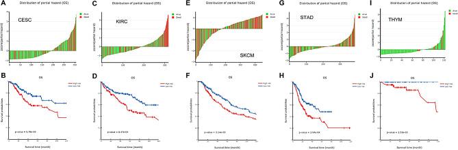 https://cdn.ncbi.nlm.nih.gov/pmc/blobs/f309/11312966/2b4bf26c54af/12935_2024_3467_Fig4_HTML.jpg