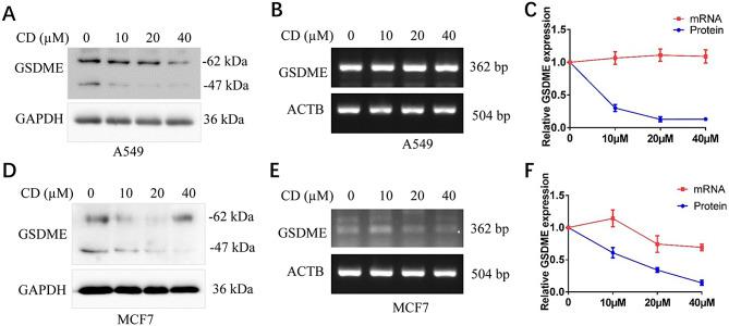 https://cdn.ncbi.nlm.nih.gov/pmc/blobs/f309/11312966/852174499db4/12935_2024_3467_Fig7_HTML.jpg
