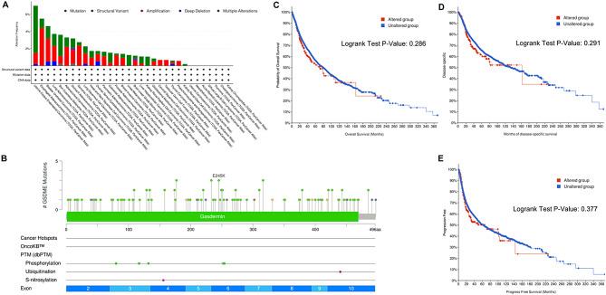 https://cdn.ncbi.nlm.nih.gov/pmc/blobs/f309/11312966/fb6e6fd064ae/12935_2024_3467_Fig5_HTML.jpg