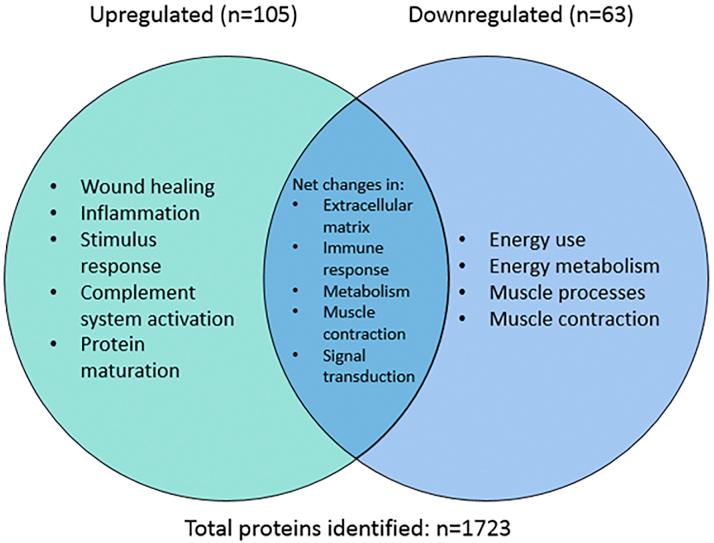 https://cdn.ncbi.nlm.nih.gov/pmc/blobs/f30a/7591826/568ce5417f89/gr3.jpg