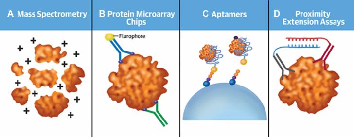https://cdn.ncbi.nlm.nih.gov/pmc/blobs/f30a/7591826/f4fbc3e09903/gr2.jpg