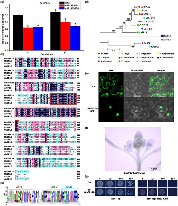 https://cdn.ncbi.nlm.nih.gov/pmc/blobs/f30c/11376947/d583a5a850d4/PBI-21-1542-g002.jpg