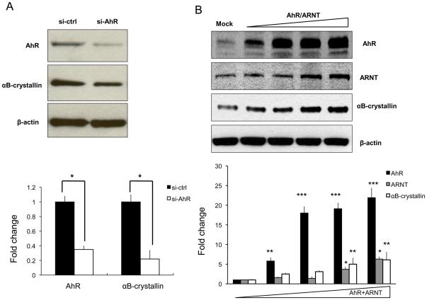 https://cdn.ncbi.nlm.nih.gov/pmc/blobs/f30e/3073930/5b17ecf57b1b/pone.0017904.g003.jpg