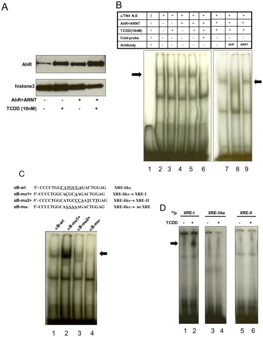 https://cdn.ncbi.nlm.nih.gov/pmc/blobs/f30e/3073930/a09122946738/pone.0017904.g007.jpg