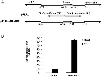 https://cdn.ncbi.nlm.nih.gov/pmc/blobs/f30e/3073930/b9144d7d4dd2/pone.0017904.g004.jpg