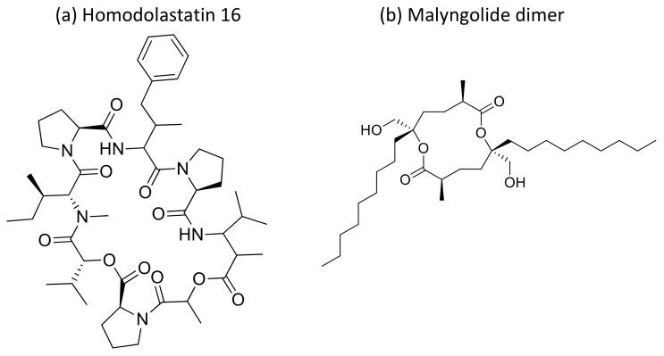 https://cdn.ncbi.nlm.nih.gov/pmc/blobs/f30f/7796498/1c757e57f891/molecules-26-00247-g034.jpg