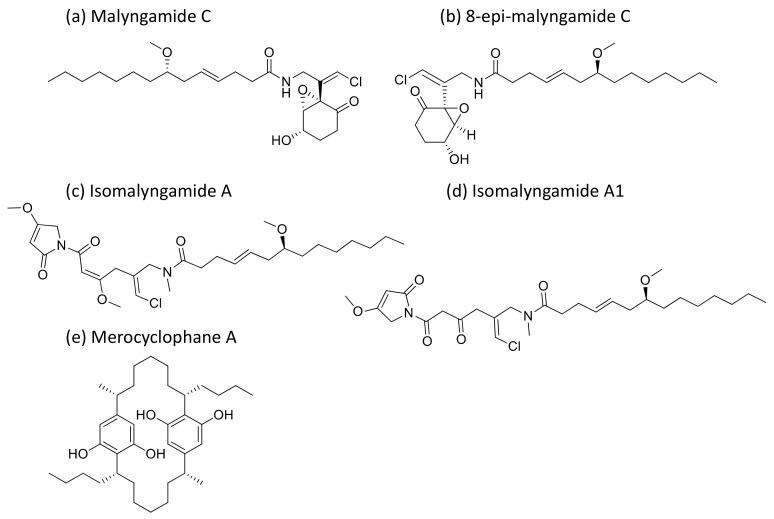 https://cdn.ncbi.nlm.nih.gov/pmc/blobs/f30f/7796498/2c3336f8ed4c/molecules-26-00247-g028.jpg