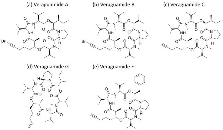 https://cdn.ncbi.nlm.nih.gov/pmc/blobs/f30f/7796498/75fcc40247e2/molecules-26-00247-g030.jpg