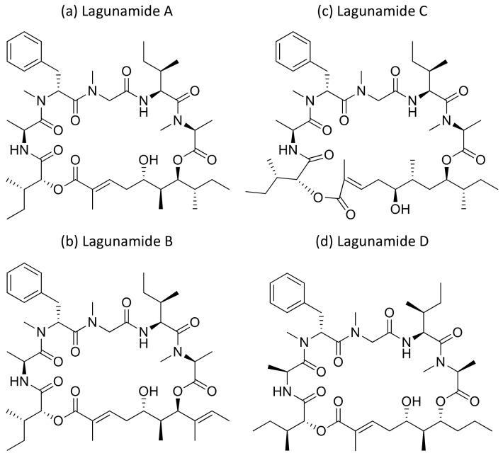 https://cdn.ncbi.nlm.nih.gov/pmc/blobs/f30f/7796498/961da640104b/molecules-26-00247-g023.jpg