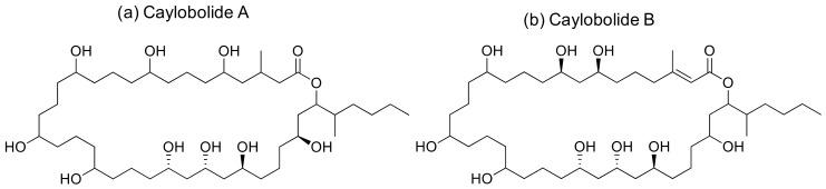 https://cdn.ncbi.nlm.nih.gov/pmc/blobs/f30f/7796498/9e02c267983f/molecules-26-00247-g010.jpg