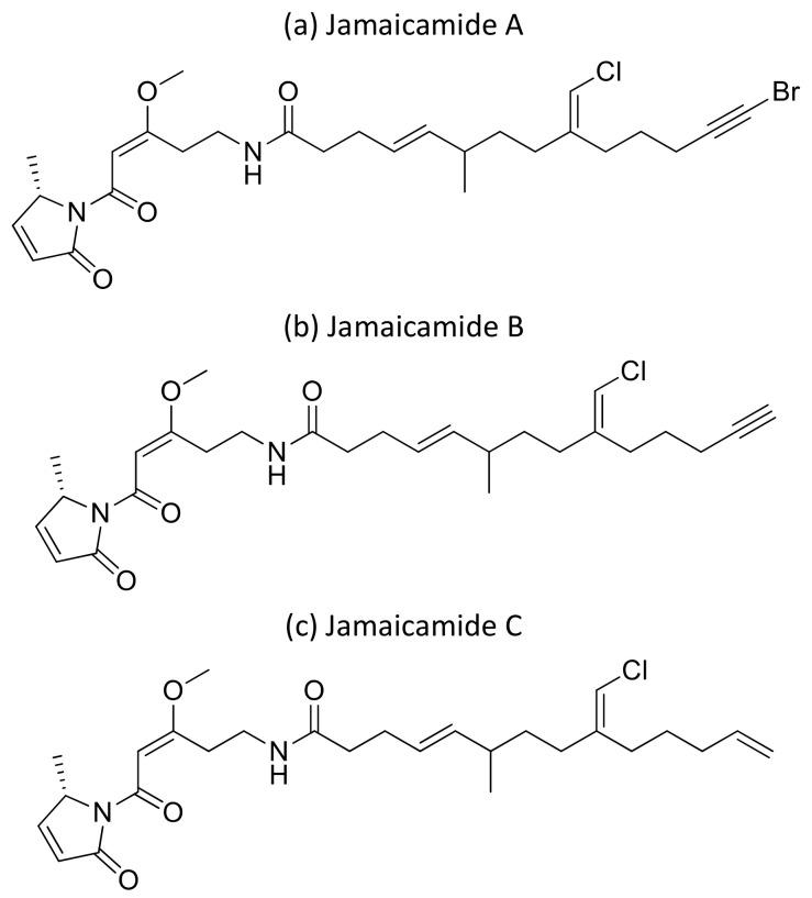 https://cdn.ncbi.nlm.nih.gov/pmc/blobs/f30f/7796498/d8967da048e9/molecules-26-00247-g035.jpg