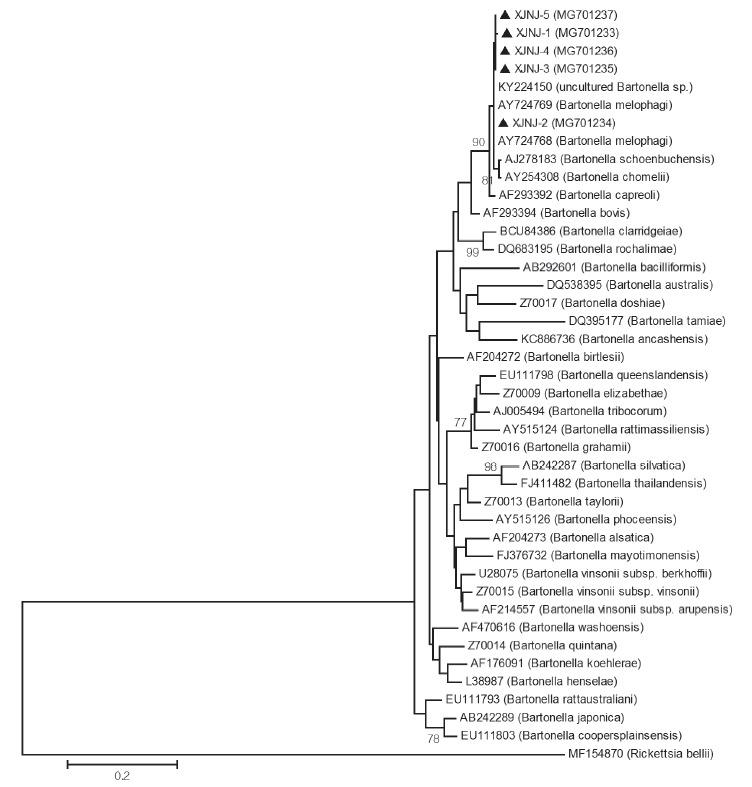 https://cdn.ncbi.nlm.nih.gov/pmc/blobs/f312/6137304/6e562915e77f/kjp-56-4-365f1.jpg