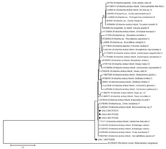 https://cdn.ncbi.nlm.nih.gov/pmc/blobs/f312/6137304/d8556348cb1b/kjp-56-4-365f2.jpg