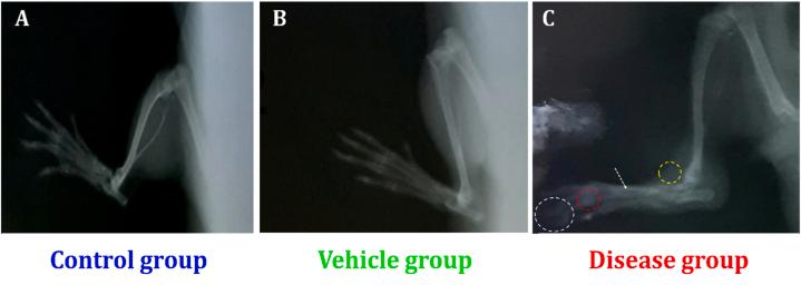 https://cdn.ncbi.nlm.nih.gov/pmc/blobs/f318/10754872/cd2b165e631d/gr5.jpg