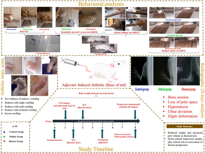https://cdn.ncbi.nlm.nih.gov/pmc/blobs/f318/10754872/d429fb7d5296/ga1.jpg