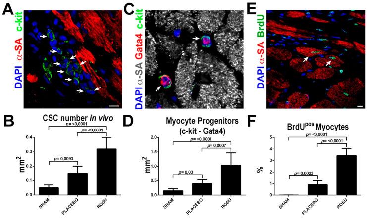https://cdn.ncbi.nlm.nih.gov/pmc/blobs/f318/7663580/44c9d56c5f97/ijms-21-07927-g005.jpg