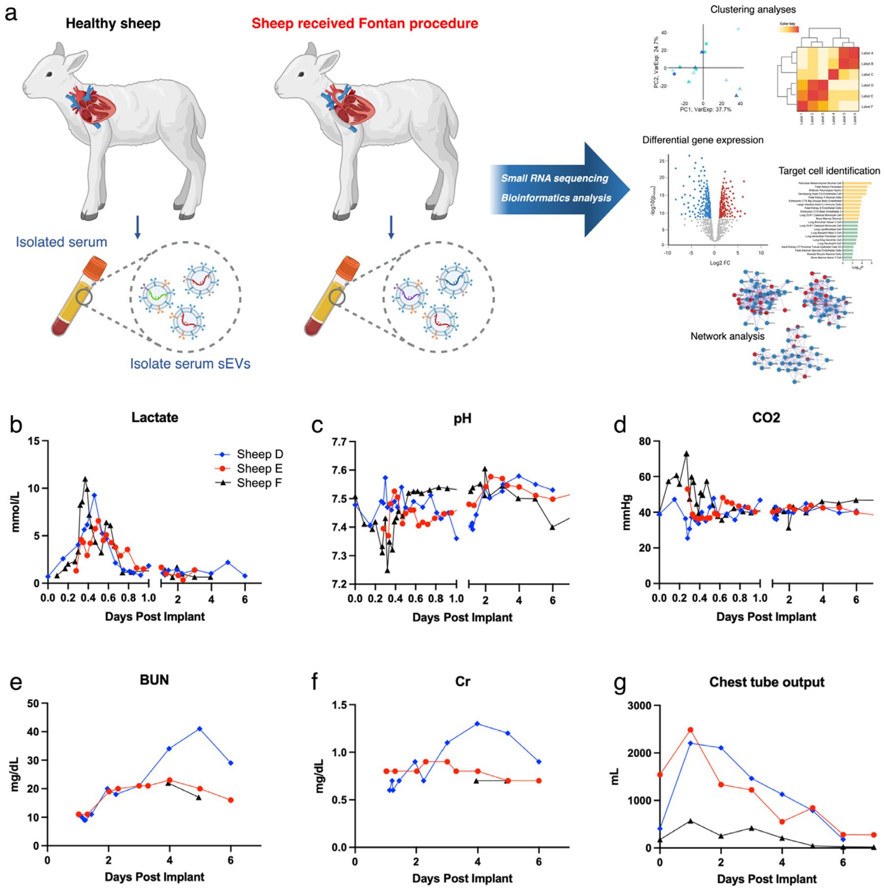 https://cdn.ncbi.nlm.nih.gov/pmc/blobs/f31b/9623551/cd9e2244ac68/nihms-1844080-f0001.jpg