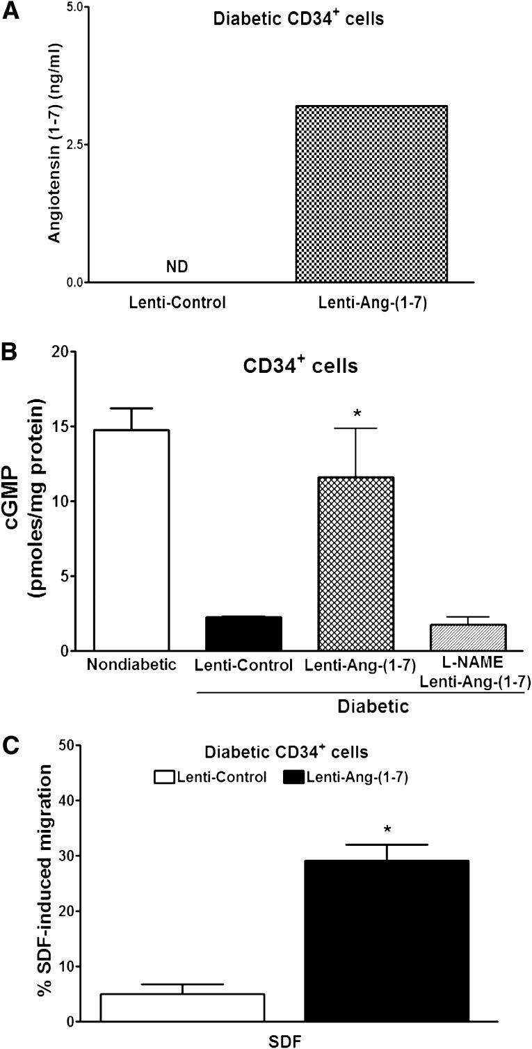 https://cdn.ncbi.nlm.nih.gov/pmc/blobs/f31e/3609564/3b92474839c6/1258fig6.jpg