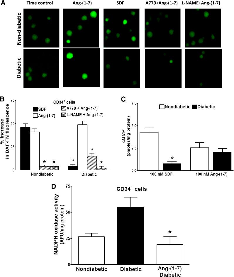 https://cdn.ncbi.nlm.nih.gov/pmc/blobs/f31e/3609564/64d8d6761655/1258fig2.jpg